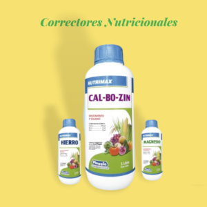 CORRECTORES NUTRICIONALES