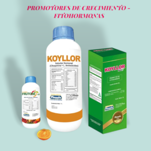 PROMOTORES DE CRECIMIENTO - FITOHORMONAS